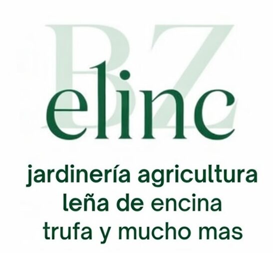 Elincbz