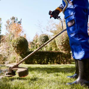 Servicios de jardinería (prueba)